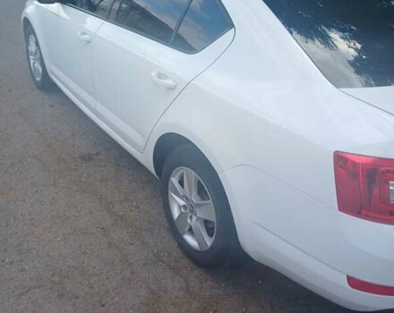 Белый Шкода Октавия, объемом двигателя 1.6 л и пробегом 167 тыс. км за 13300 $, фото 12 на Automoto.ua