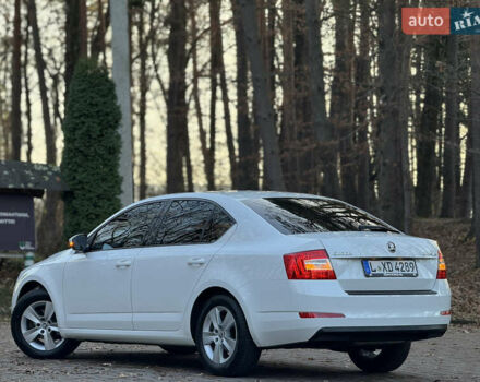 Белый Шкода Октавия, объемом двигателя 1.6 л и пробегом 207 тыс. км за 10499 $, фото 59 на Automoto.ua