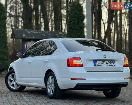 Белый Шкода Октавия, объемом двигателя 1.6 л и пробегом 207 тыс. км за 10499 $, фото 57 на Automoto.ua