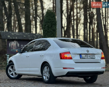 Белый Шкода Октавия, объемом двигателя 1.6 л и пробегом 207 тыс. км за 10499 $, фото 58 на Automoto.ua