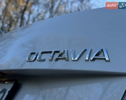 Белый Шкода Октавия, объемом двигателя 1.6 л и пробегом 207 тыс. км за 10499 $, фото 47 на Automoto.ua