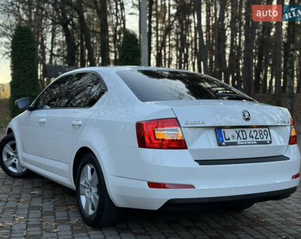 Белый Шкода Октавия, объемом двигателя 1.6 л и пробегом 207 тыс. км за 10499 $, фото 60 на Automoto.ua