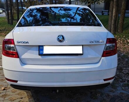 Шкода Октавия 2017 в Киеве на Automoto.ua Белый Шкода Октавия, объемом двигателя 1.4 л и пробегом 236 тыс. км за 13900 $, фото 17 на Automoto.ua