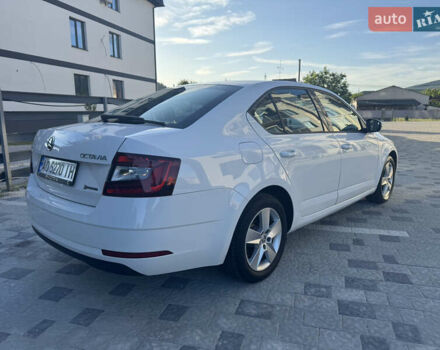 Белый Шкода Октавия, объемом двигателя 1.6 л и пробегом 202 тыс. км за 12500 $, фото 3 на Automoto.ua