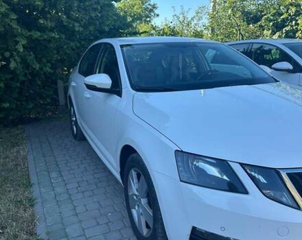 Белый Шкода Октавия, объемом двигателя 1.6 л и пробегом 252 тыс. км за 13800 $, фото 1 на Automoto.ua