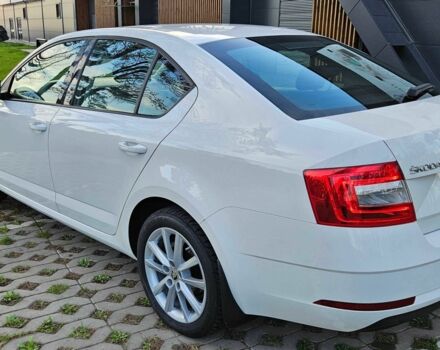 Шкода Октавия 2017 в Киеве на Automoto.ua Белый Шкода Октавия, объемом двигателя 1.4 л и пробегом 236 тыс. км за 13900 $, фото 21 на Automoto.ua