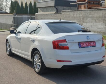 Белый Шкода Октавия, объемом двигателя 1.6 л и пробегом 232 тыс. км за 11800 $, фото 5 на Automoto.ua