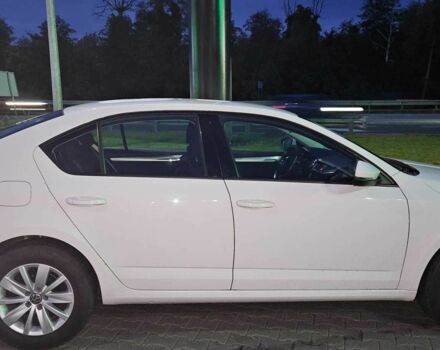 Шкода Октавия 2017 в Киеве на Automoto.ua Белый Шкода Октавия, объемом двигателя 1.4 л и пробегом 236 тыс. км за 13900 $, фото 23 на Automoto.ua