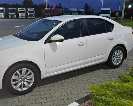 Шкода Октавия 2017 в Киеве на Automoto.ua Белый Шкода Октавия, объемом двигателя 1.4 л и пробегом 236 тыс. км за 13900 $, фото 22 на Automoto.ua