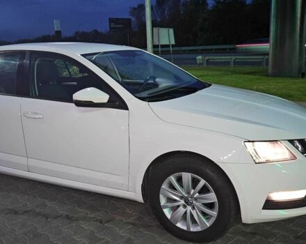 Шкода Октавия 2017 в Киеве на Automoto.ua Белый Шкода Октавия, объемом двигателя 1.4 л и пробегом 236 тыс. км за 13900 $, фото 2 на Automoto.ua