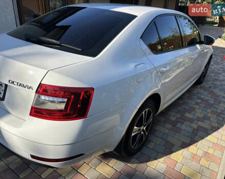 Белый Шкода Октавия, объемом двигателя 1.6 л и пробегом 230 тыс. км за 12300 $, фото 2 на Automoto.ua