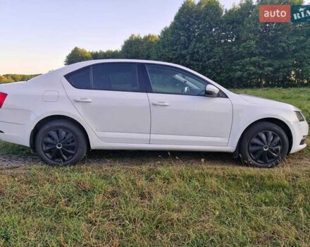 Білий Шкода Октавія, об'ємом двигуна 1.4 л та пробігом 190 тис. км за 13950 $, фото 5 на Automoto.ua