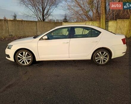 Белый Шкода Октавия, объемом двигателя 1.6 л и пробегом 366 тыс. км за 12300 $, фото 2 на Automoto.ua