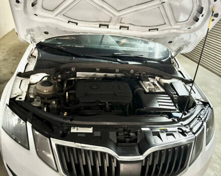 Шкода Октавия 2018 в Киеве на Automoto.ua Белый Шкода Октавия, объемом двигателя 1.8 л и пробегом 218 тыс. км за 14200 $, фото 2 на Automoto.ua