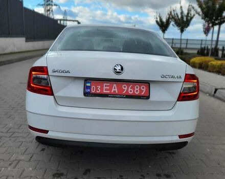 Белый Шкода Октавия, объемом двигателя 1.6 л и пробегом 220 тыс. км за 11500 $, фото 15 на Automoto.ua