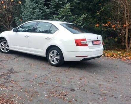 Белый Шкода Октавия, объемом двигателя 1.6 л и пробегом 224 тыс. км за 14500 $, фото 1 на Automoto.ua