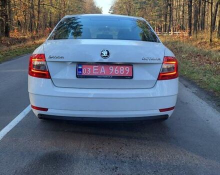 Белый Шкода Октавия, объемом двигателя 1.6 л и пробегом 220 тыс. км за 11500 $, фото 8 на Automoto.ua
