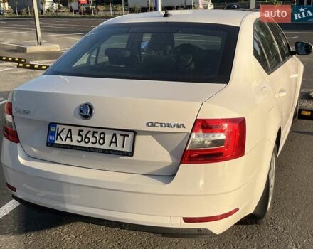 Белый Шкода Октавия, объемом двигателя 1.6 л и пробегом 47 тыс. км за 16000 $, фото 11 на Automoto.ua