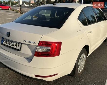 Белый Шкода Октавия, объемом двигателя 1.6 л и пробегом 47 тыс. км за 16000 $, фото 12 на Automoto.ua