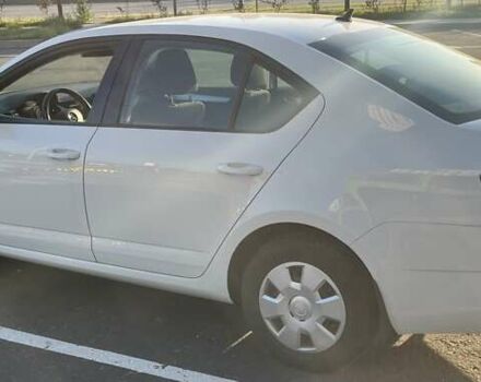 Белый Шкода Октавия, объемом двигателя 1.6 л и пробегом 47 тыс. км за 16000 $, фото 5 на Automoto.ua