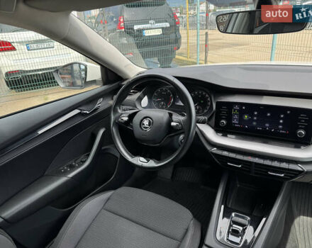 Шкода Октавия 2020 в Киеве на Automoto.ua Белый Шкода Октавия, объемом двигателя 1.4 л и пробегом 126 тыс. км за 18990 $, фото 34 на Automoto.ua