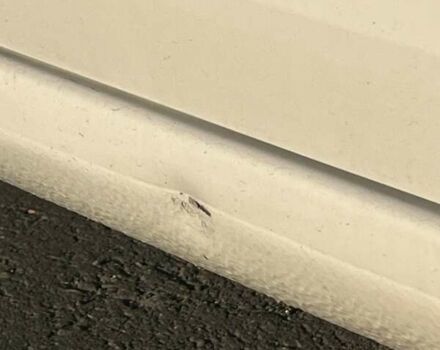 Белый Шкода Октавия, объемом двигателя 1.6 л и пробегом 47 тыс. км за 16000 $, фото 32 на Automoto.ua