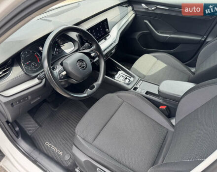 Шкода Октавия 2020 в Киеве на Automoto.ua Белый Шкода Октавия, объемом двигателя 1.4 л и пробегом 126 тыс. км за 18990 $, фото 14 на Automoto.ua