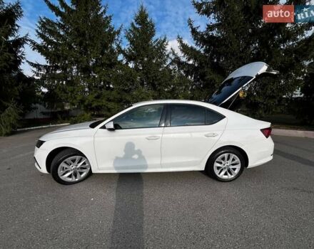 Шкода Октавия 2021 в Белой Церкве на Automoto.ua Белый Шкода Октавия, объемом двигателя 1.4 л и пробегом 167 тыс. км за 17700 $, фото 7 на Automoto.ua