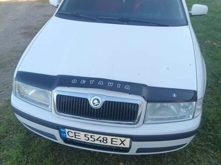 Шкода Октавия 2008 в Вижнице на Automoto.ua Белый Шкода Октавия, объемом двигателя 1.6 л и пробегом 280 тыс. км за 4550 $, фото 1 на Automoto.ua