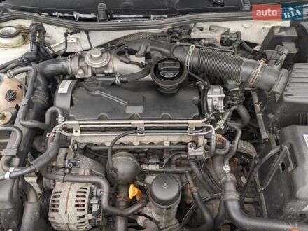 Шкода Октавия 2008 в Умани на Automoto.ua Белый Шкода Октавия, объемом двигателя 1.9 л и пробегом 278 тыс. км за 5800 $, фото 1 на Automoto.ua