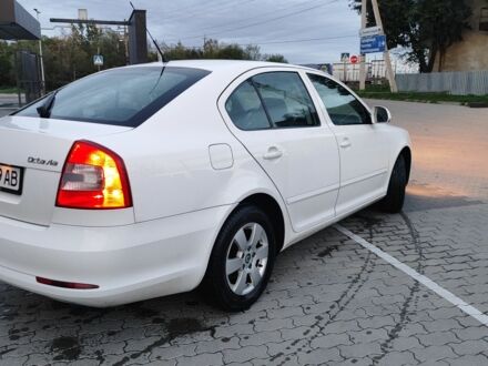 Белый Шкода Октавия, объемом двигателя 1.4 л и пробегом 230 тыс. км за 6500 $, фото 1 на Automoto.ua