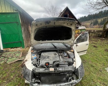 Белый Шкода Октавия, объемом двигателя 1.6 л и пробегом 290 тыс. км за 5500 $, фото 1 на Automoto.ua