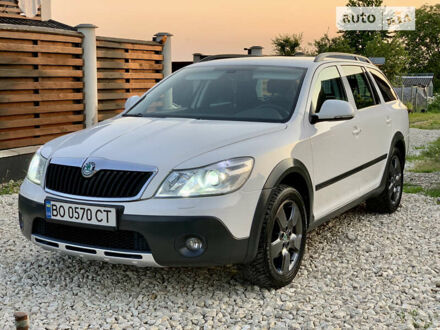 Шкода Октавия 2011 в Тернополе на Automoto.ua Белый Шкода Октавия, объемом двигателя 2 л и пробегом 290 тыс. км за 11999 $, фото 1 на Automoto.ua