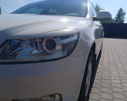 Белый Шкода Октавия, объемом двигателя 1.6 л и пробегом 328 тыс. км за 8000 $, фото 1 на Automoto.ua