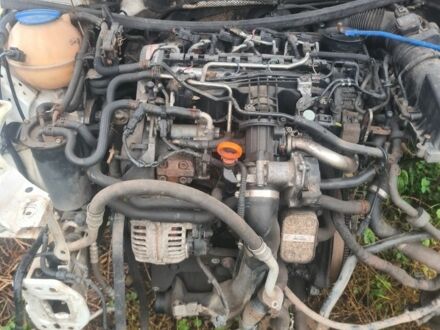 Белый Шкода Октавия, объемом двигателя 0 л и пробегом 200 тыс. км за 799 $, фото 1 на Automoto.ua