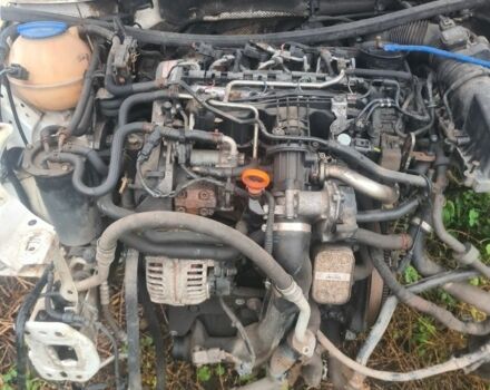 Білий Шкода Октавія, об'ємом двигуна 0 л та пробігом 200 тис. км за 799 $, фото 1 на Automoto.ua