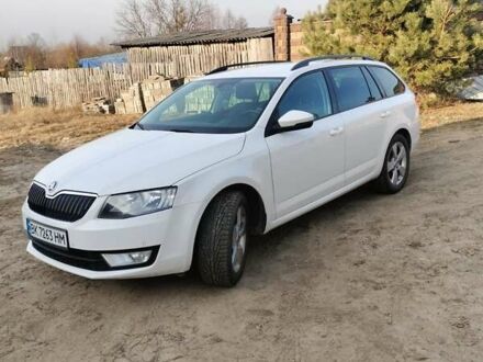 Шкода Октавія 2014 у Сарнах на Automoto.ua Білий Шкода Октавія, об'ємом двигуна 1.97 л та пробігом 280 тис. км за 11850 $, фото 1 на Automoto.ua