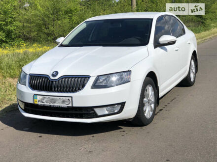 Шкода Октавия 2014 в Кривом Роге на Automoto.ua Белый Шкода Октавия, объемом двигателя 2 л и пробегом 96 тыс. км за 18900 $, фото 1 на Automoto.ua