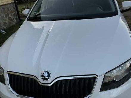 Шкода Октавія 2015 у Сарнах на Automoto.ua Білий Шкода Октавія, об'ємом двигуна 1.6 л та пробігом 263 тис. км за 12100 $, фото 1 на Automoto.ua