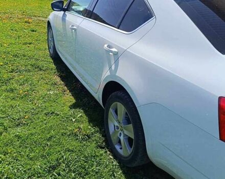 Белый Шкода Октавия, объемом двигателя 1.97 л и пробегом 269 тыс. км за 12200 $, фото 1 на Automoto.ua