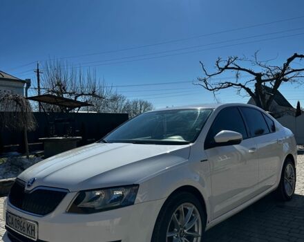 Білий Шкода Октавія, об'ємом двигуна 1.6 л та пробігом 209 тис. км за 12500 $, фото 1 на Automoto.ua
