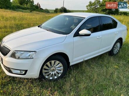 Шкода Октавия 2016 в Хмельнике на Automoto.ua Белый Шкода Октавия, объемом двигателя 1.6 л и пробегом 273 тыс. км за 12400 $, фото 1 на Automoto.ua