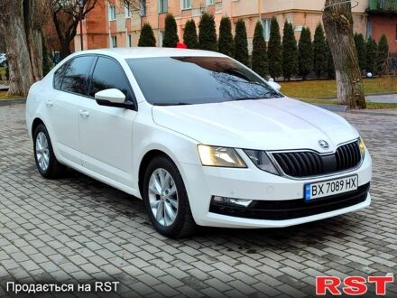 Шкода Октавия 2017 в Каменце-Подольском на Automoto.ua Белый Шкода Октавия, объемом двигателя 2 л и пробегом 167 тыс. км за 14300 $, фото 1 на Automoto.ua