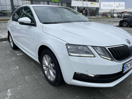 Шкода Октавия 2017 в Львове на Automoto.ua Белый Шкода Октавия, объемом двигателя 1.6 л и пробегом 299 тыс. км за 12800 $, фото 1 на Automoto.ua