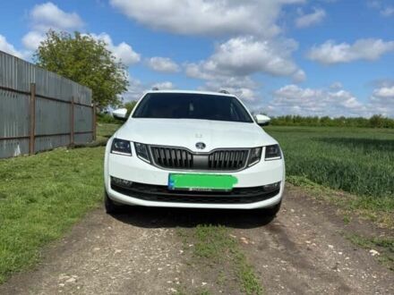 Шкода Октавия 2017 в Попольне на Automoto.ua Белый Шкода Октавия, объемом двигателя 0 л и пробегом 293 тыс. км за 13500 $, фото 1 на Automoto.ua