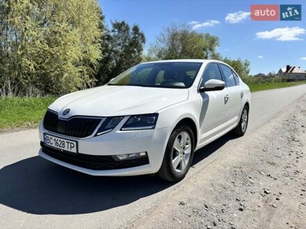Шкода Октавия 2017 в Львове на Automoto.ua Белый Шкода Октавия, объемом двигателя 1.6 л и пробегом 186 тыс. км за 14200 $, фото 1 на Automoto.ua