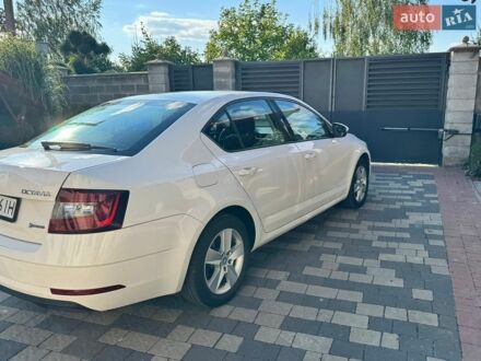 Білий Шкода Октавія, об'ємом двигуна 1.6 л та пробігом 190 тис. км за 12700 $, фото 1 на Automoto.ua