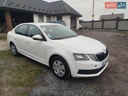 Белый Шкода Октавия, объемом двигателя 1.6 л и пробегом 261 тыс. км за 10999 $, фото 1 на Automoto.ua