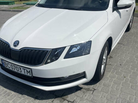 Белый Шкода Октавия, объемом двигателя 1.6 л и пробегом 229 тыс. км за 13500 $, фото 1 на Automoto.ua