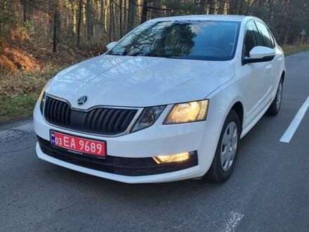 Белый Шкода Октавия, объемом двигателя 1.6 л и пробегом 220 тыс. км за 11500 $, фото 1 на Automoto.ua